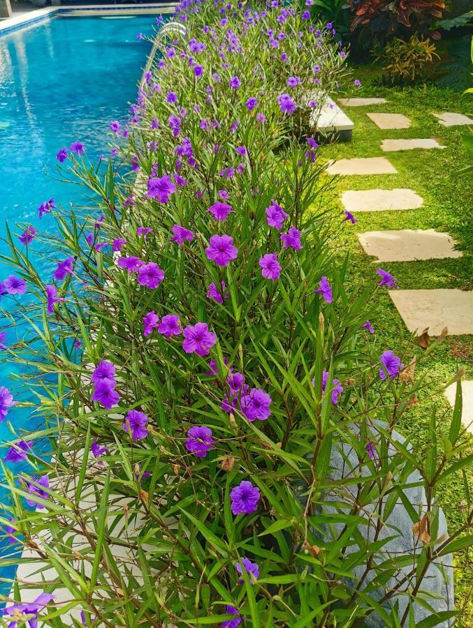 Artoria Dream Villas Bali Νούσα Ντούα Εξωτερικό φωτογραφία